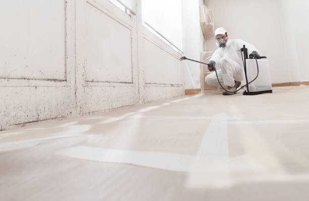 24/7 Emergency Mold Removal experts in Clayton, GA